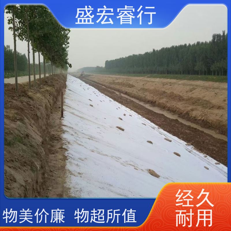 盛宏睿行 PET土工布  短丝 桥梁隧道排水无纺布 按需生产