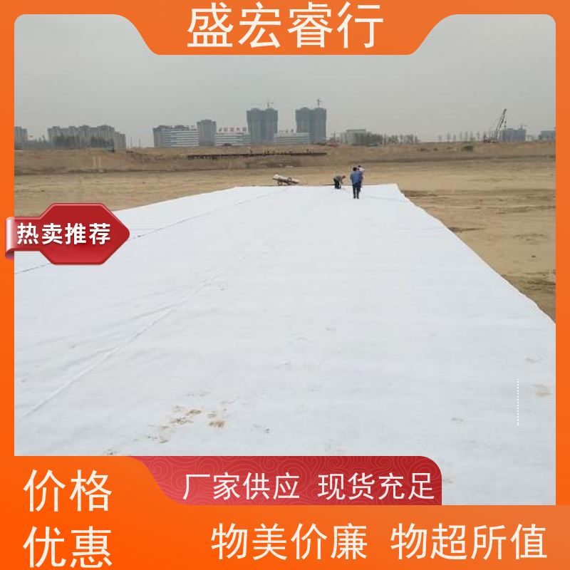 盛宏睿行 丙纶土工布  针刺无纺 短丝 人工湖鱼塘护坡过滤布
