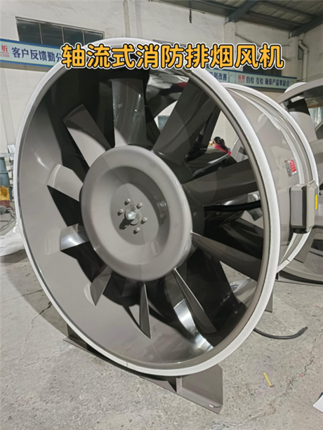 Axial flow fire smoke exhaust fan, large-diameter strong exhaust, high-temperature resistant industrial plant ventilation equipment