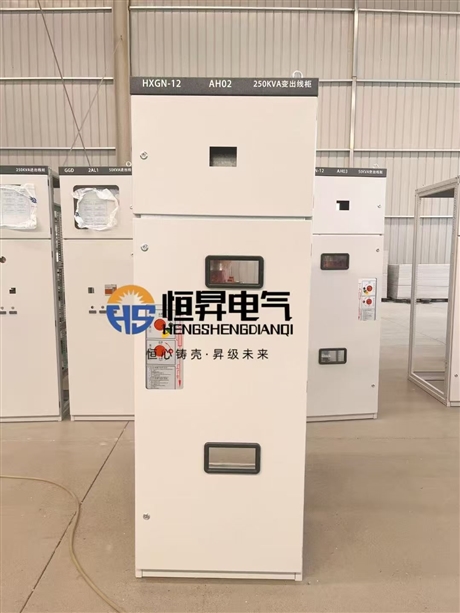 HXGN-12 type 250KVA transformer output cabinet Hengsheng electrical high voltage ring network cabinet body