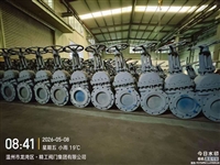 gate valve