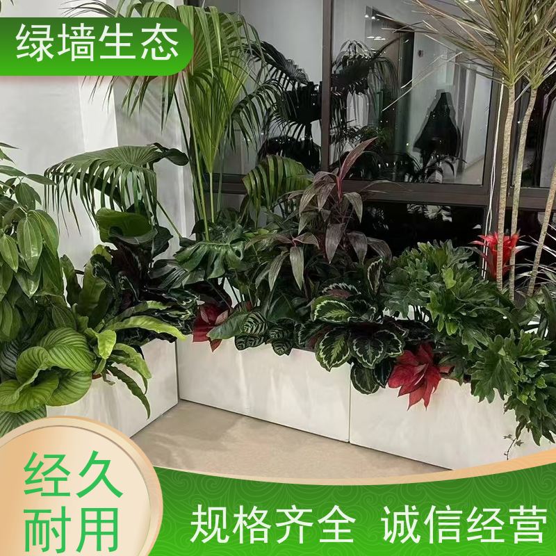 绿墙生态 连廊通道垂直 垂吊藤蔓植物墙面装饰 室内园林景观
