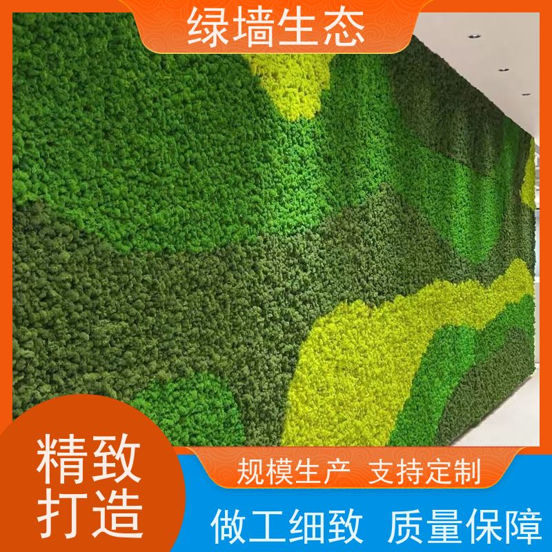 绿墙生态 耐潮材质地下室阴暗空间墙面装饰材 永生星星藓
