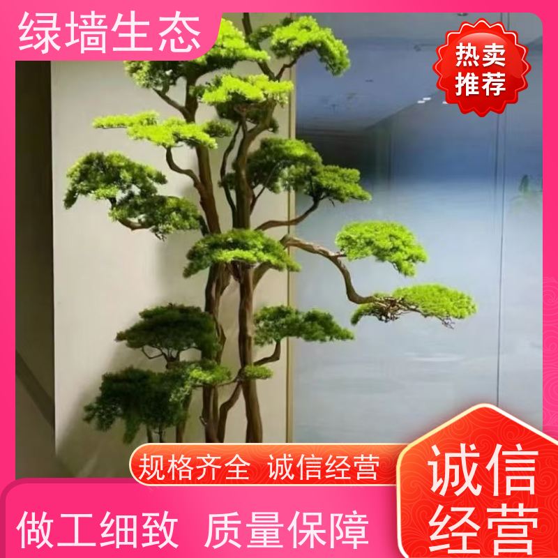 绿墙生态 造型松景松苗木庭院别墅小区绿.化乔木 雨林缸造景