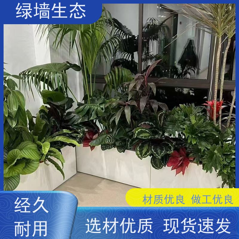 绿墙生态 围墙篱笆装饰 爬藤攀援植物覆盖架构 室内景观墙