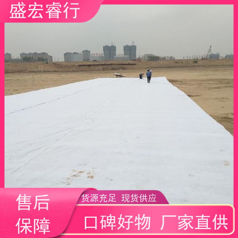 盛宏睿行 PET土工布  人工湿地 透水过滤环保工程布