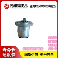 齿轮泵 锐力双联齿轮泵台湾REXPOWER锐力RGP-F319RN-K4 