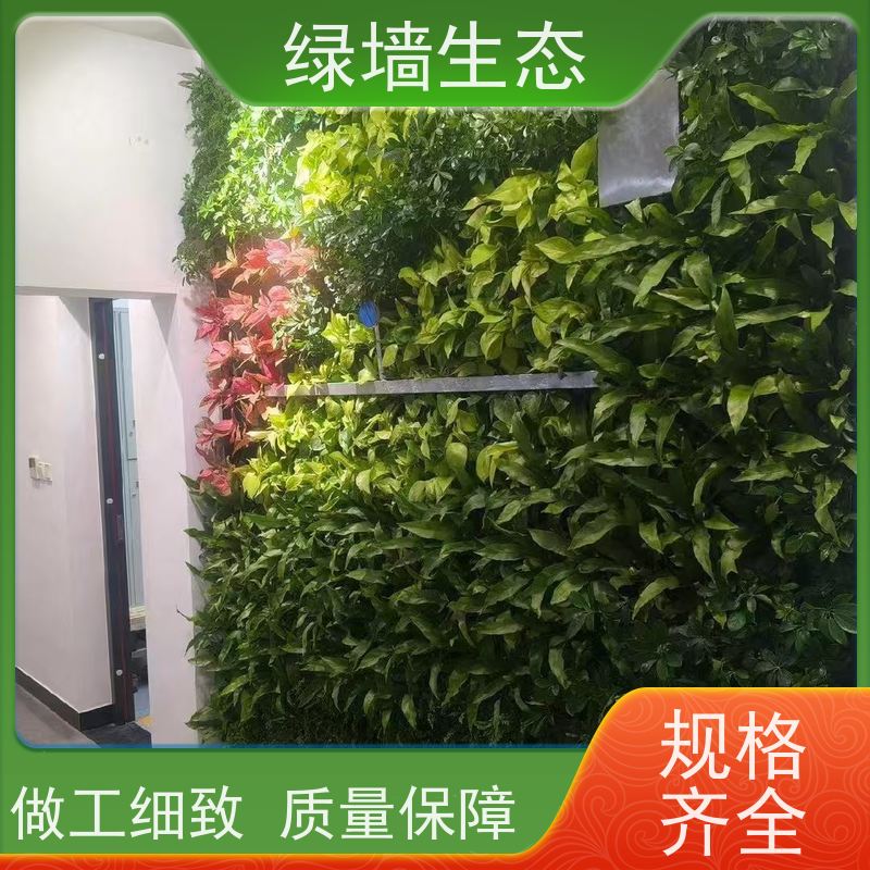 绿墙生态 绿色植物墙 会所包间私密空间隔断立.体装饰墙面
