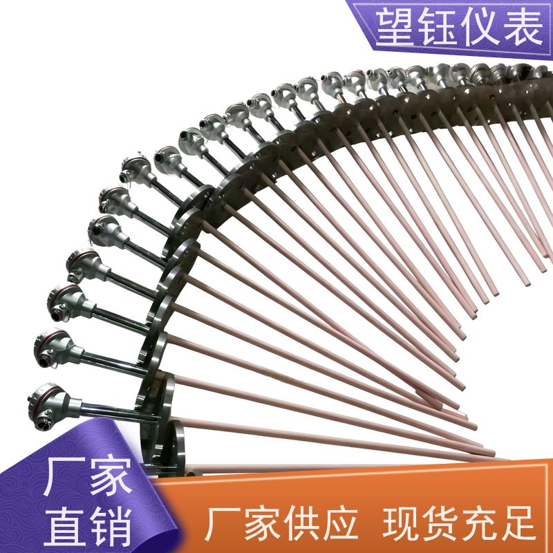望钰 装配式 Pt1000T型热电偶 化工反应釜 厂家供应