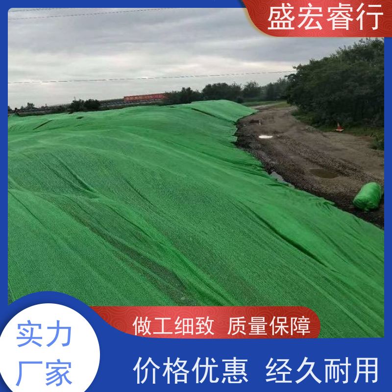盛宏睿行 PP土工布  海绵城市 透水反滤保湿工程布