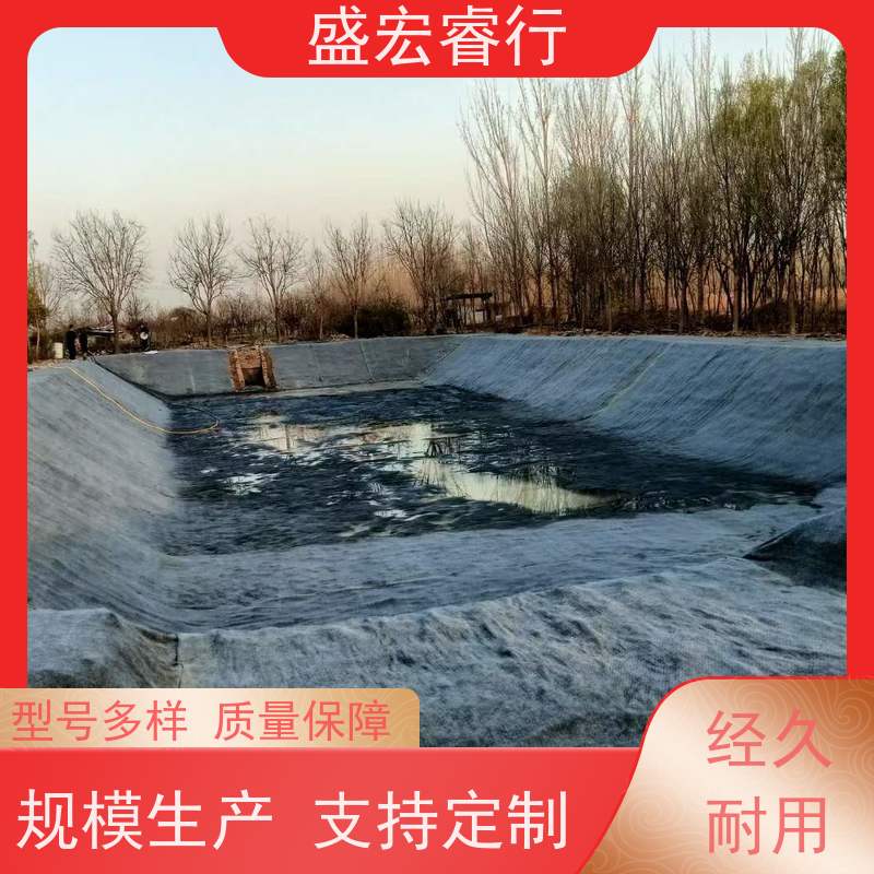 盛宏睿行 PE塑料薄膜 短丝复合膜 人工湖蓄水池防.渗土工布 防水膜