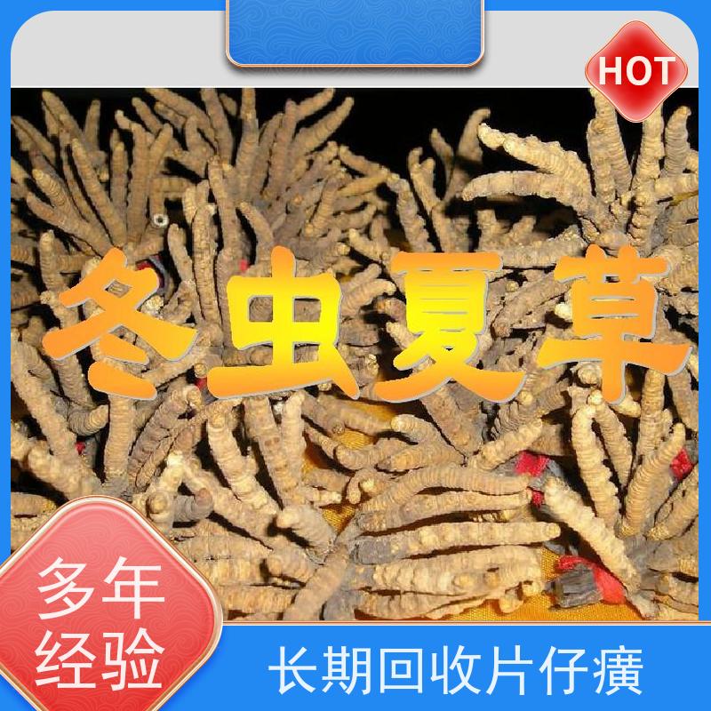 光明新区求购片仔癀一键详询，服务全面