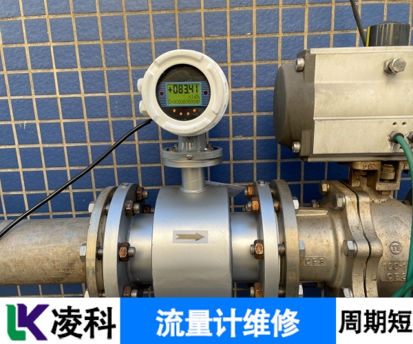 Bulewhite流量计误差变化大维修实力说话