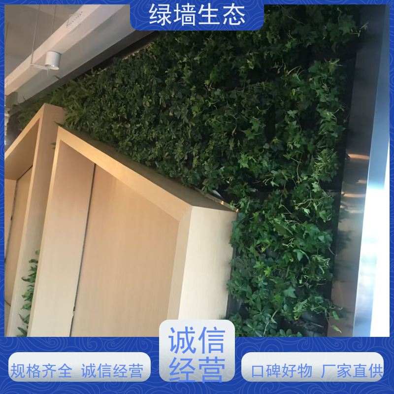 绿墙生态 壁挂式安装室内客厅墙面简易装饰墙 室外仿真绿植墙