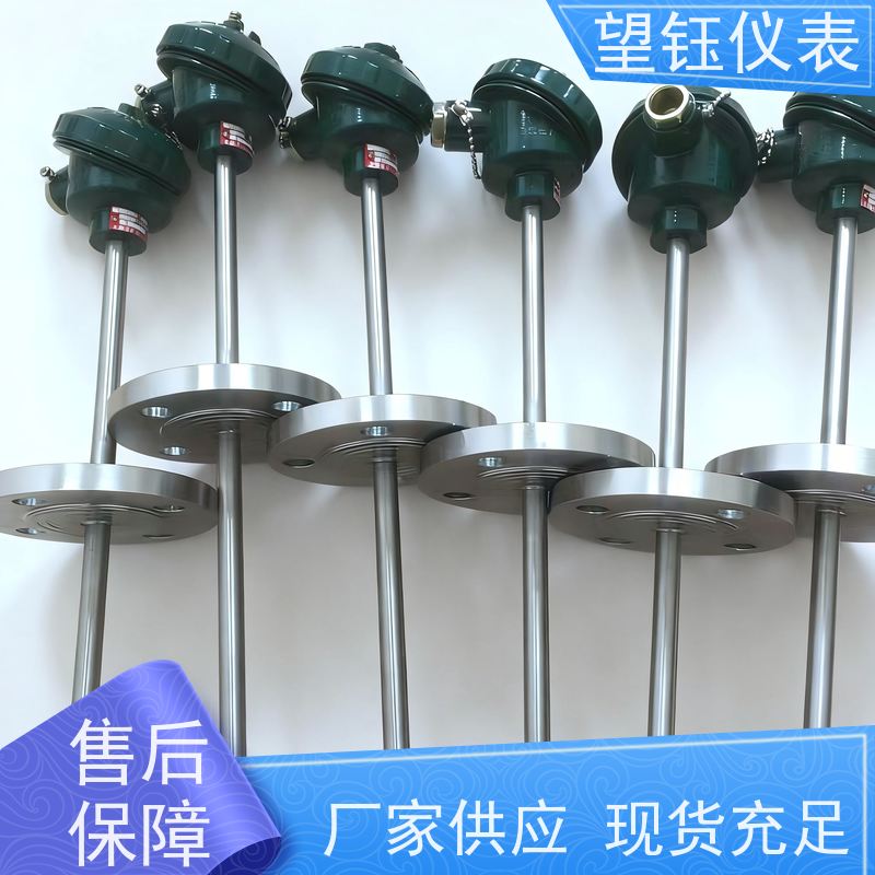 望钰 可定制 Pt1000工业热电偶 化工反应釜 厂家供应