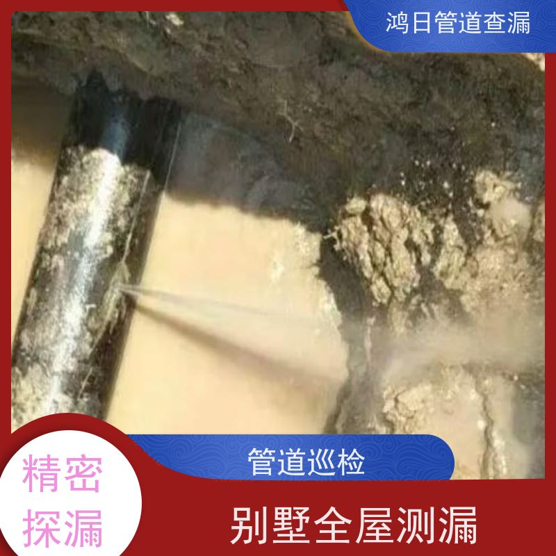 天津高层住宅水管测漏，疑难漏水，内行搞定