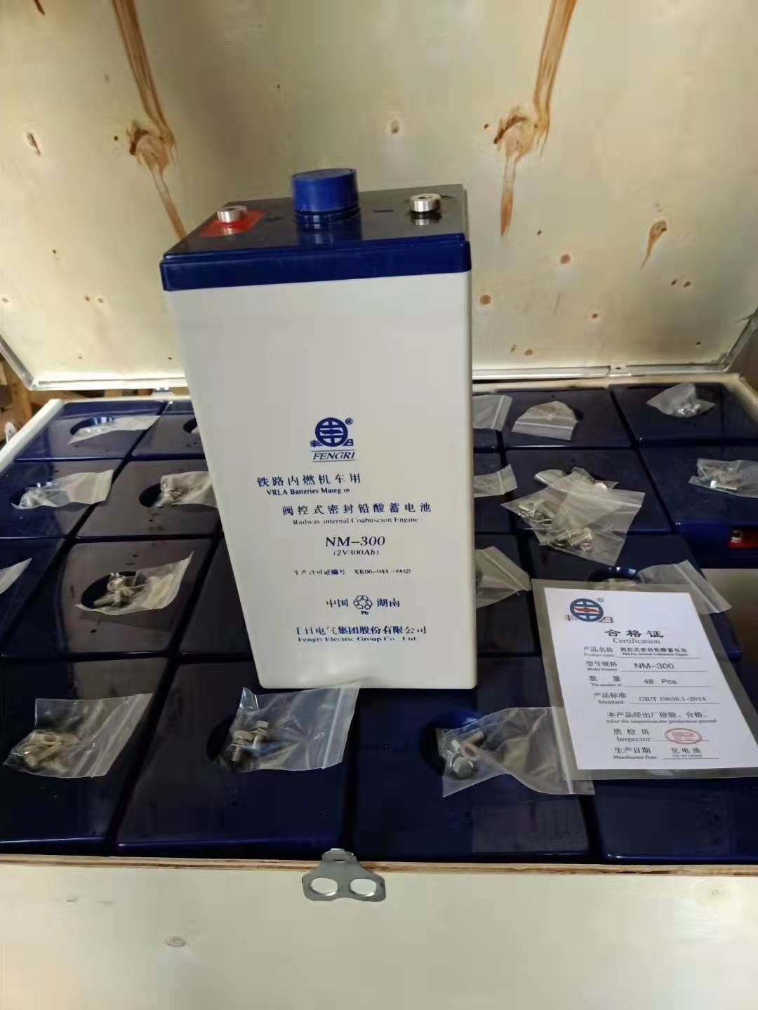 丰日铁路内燃机车用阀控式密封铅酸蓄电池NM-300 2V300Ah