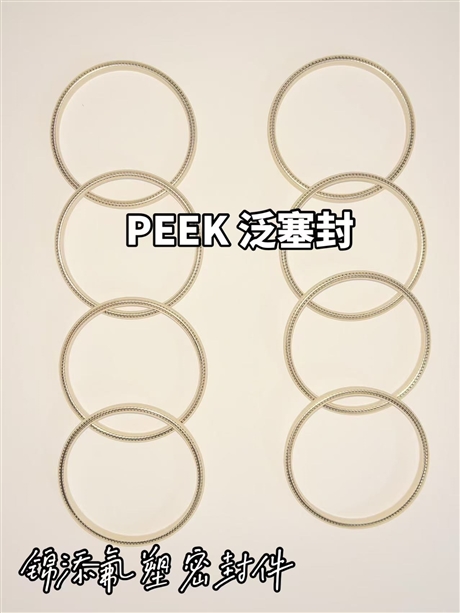 Peek flood seal