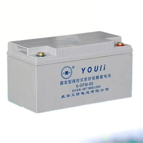 Youli 6-GFM-65 fixed valve regulated sealed lead-acid battery 12V65Ah UPS power storage battery