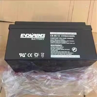 EVERFINE CB 80-12 12V80AH UPS power supply battery maintenance free lead-acid battery room energy storage battery