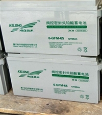 Kehua Technology 6-GFM-65 Valve Regulated Sealed Lead Acid Battery 12V65Ah UPS Power Supply DC Screen Backup Battery