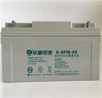 Huafu 6-GFM-65 valve regulated sealed lead-acid battery 12V65AH UPS power supply DC screen dedicated battery