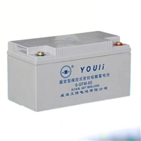 Youli 6-GFM-65 fixed valve regulated sealed lead-acid battery 12V65Ah UPS power storage battery