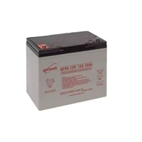 Genesis NP55-12R 12V55Ah maintenance free lead-acid battery UPS power supply DC screen emergency energy storage battery