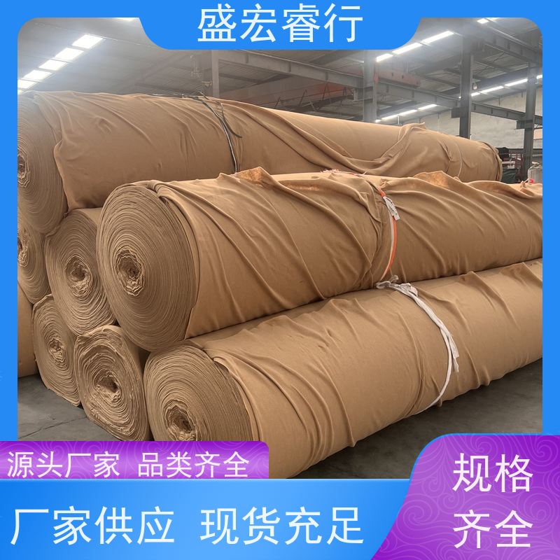 盛宏睿行 涤纶土工布  水利工程 堤坝护坡防渗过滤布