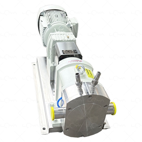 Sanitary cam rotor pump