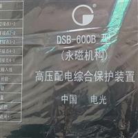 中国电光DSB-600B新永磁机构高压配电综合保护器