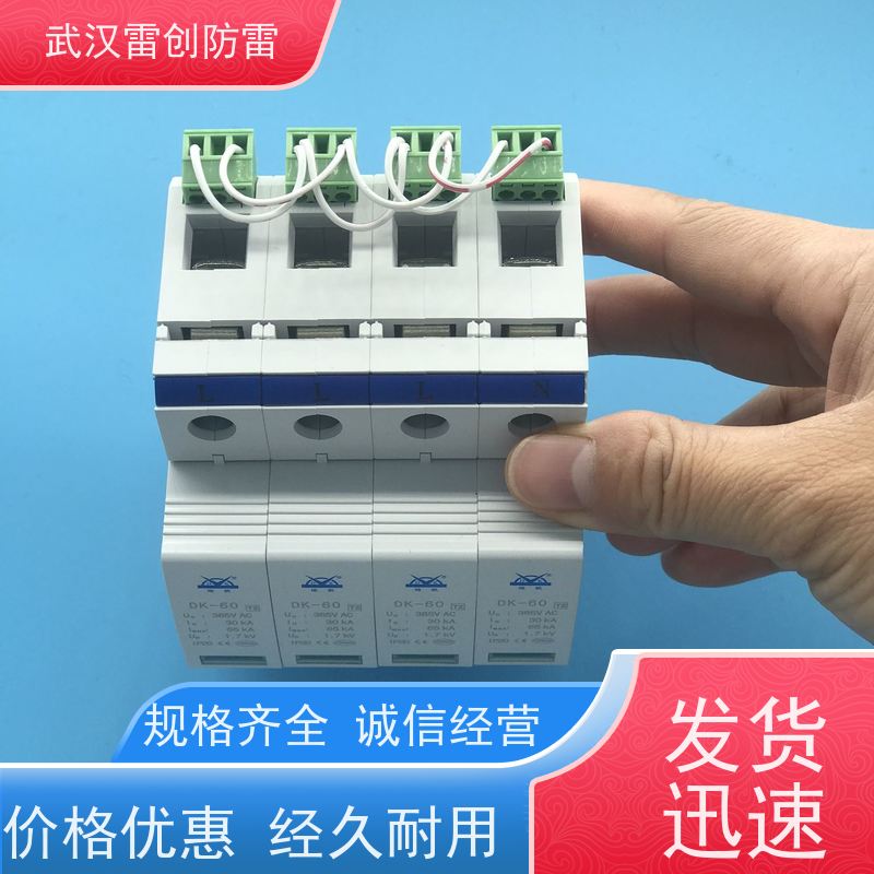 雷创 三级浪涌保护器 DK-40 4P/2P 单相防雷模块 资料齐全