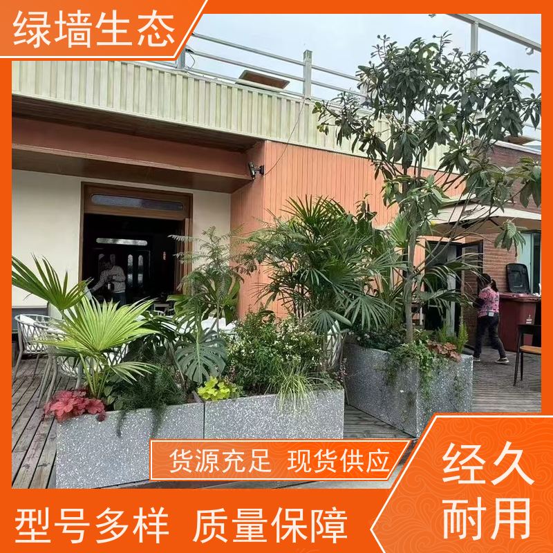 绿墙生态 户外广场搭建 对称式乔木灌木排布 室内绿植造景
