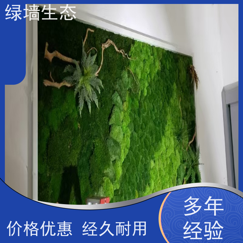 绿墙生态 耐潮材质地下室阴暗空间墙面装饰材 白发苔藓