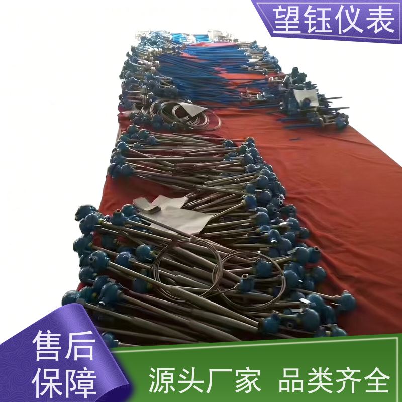 望钰 可定制 Pt1000T型热电偶 化工反应釜 厂家供应