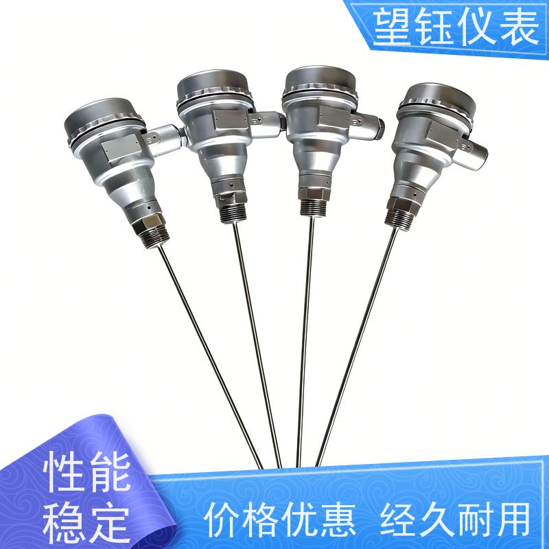 望钰 探针式 Pt100温度传感器 石油石化 生产厂家