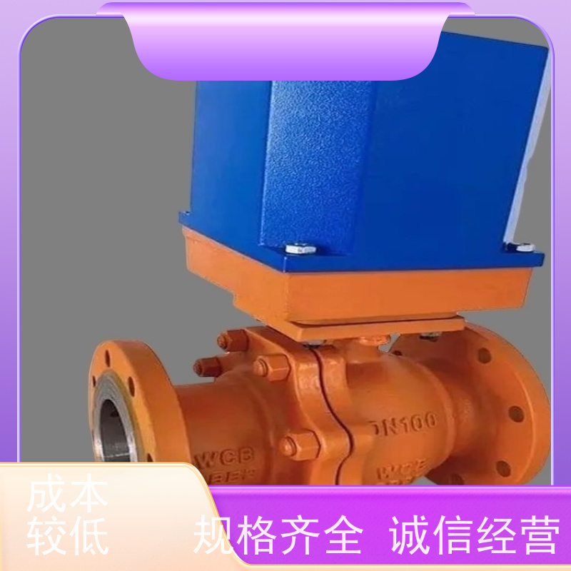 瑞浦 快开电动球阀 供货DQF-80 电动快关球阀   DQF125