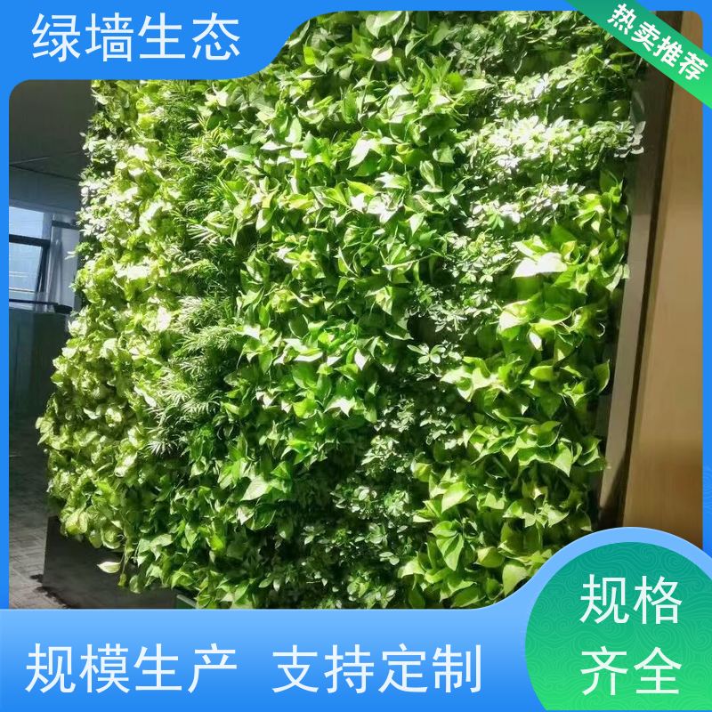 绿墙生态 植物墙 写字楼通道走廊两侧拼装模块