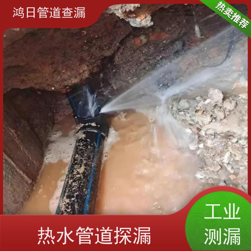 天津铸铁PE各类管材专项测漏，疑难漏水，内行搞定