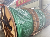 Copper core cross-linked polyethylene insulated steel tape armored power cable
