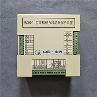 电光防爆WZBQ-1型微机磁力启动器保护装置