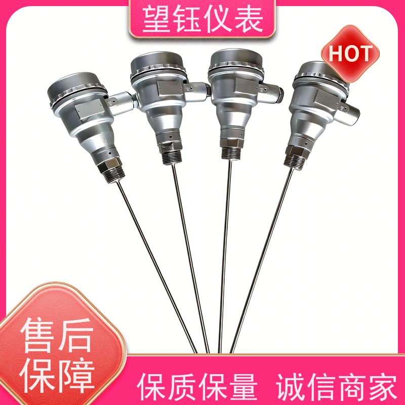 望钰 抗干扰 WRNJ型热电偶 化工反应釜 生产厂家
