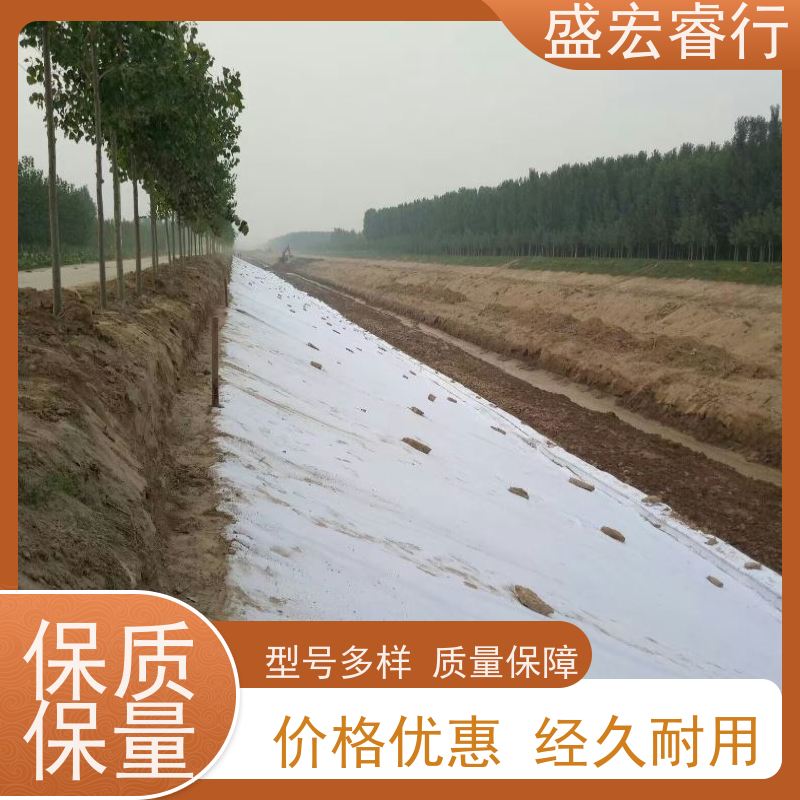 盛宏睿行 PP土工布  水利工程 堤坝护坡防渗过滤布