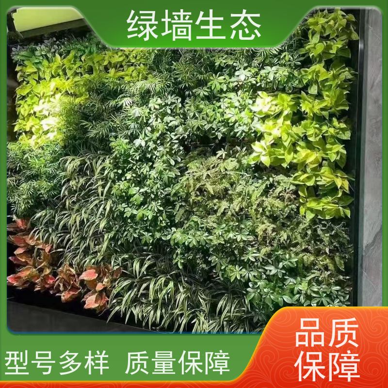 绿墙生态 绿植墙 会所包间私密空间隔断立.体装饰墙面