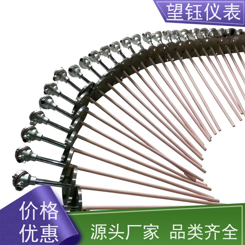 望钰 铠装 Pt1000探针热电偶 化工反应釜 生产厂家