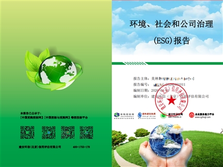 ESG(环境、社会、公司治理)报告