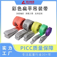 辰力撼马 EB型扁平涤纶吊装带  彩色耐磨起重牵引带 长度可定制