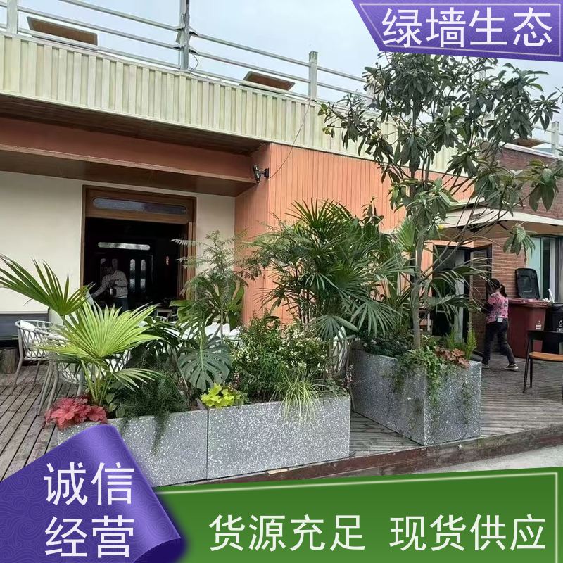 绿墙生态 写字楼大堂 耐阴观叶植物分层套装 室内绿植造景