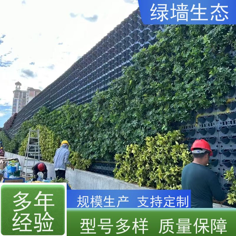 绿墙生态 前台绿植造景 写字楼通道走廊两侧拼装模块