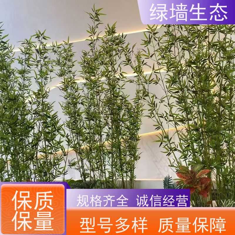 绿墙生态 写字楼大堂 耐阴观叶植物分层套装 景观绿化